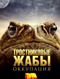 Тростниковые жабы: Оккупация