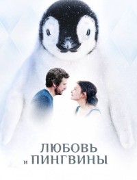 Любовь и пингвины