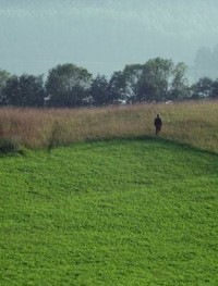 Белые ночи почтальона Алексея Тряпицына