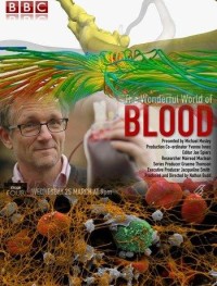 Удивительный мир крови