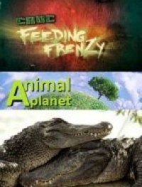 Как прокормить крокодила