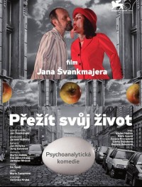 Пережить свою жизнь 