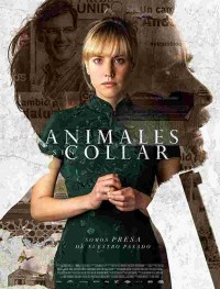 Животные без ошейника