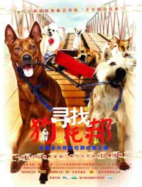 Дорожная банда «4 лапы»