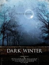 Тёмная зима