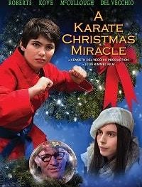 Рождественское чудо в стиле карате