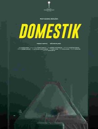 Домашний режим