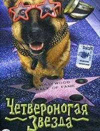 Четвероногая звезда