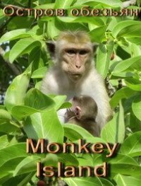 Остров обезьян 1 сезон
