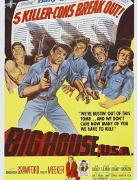 Большой дом