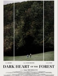 Темное сердце леса