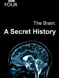 Мозг: Тайны сознания 1 сезон