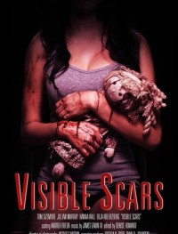 Видимые шрамы 