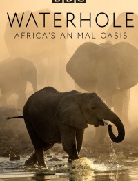 BBC. Водопой: Африканский Оазис для Животных 1 сезон