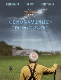 Коронавирус: Идеальный шторм