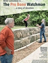 Добровольный наблюдатель