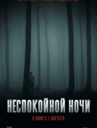 Неспокойной ночи