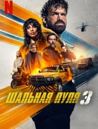 Шальная пуля 3