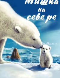 Мишка на Севере