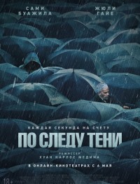По следу тени