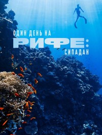 Один день на рифе: Сипадан