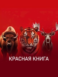 Красная книга 1 сезон