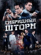 Гибридный шторм