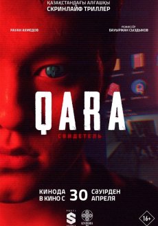 QARA: Свидетель