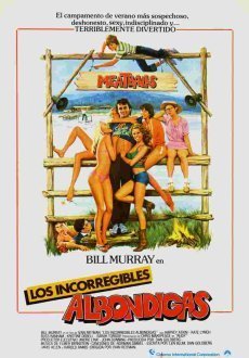 Фрикадельки