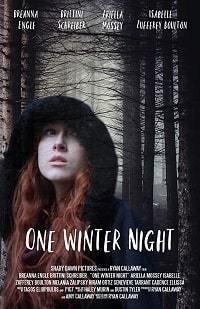 Однажды зимней ночью