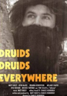 Друиды. Друиды повсюду