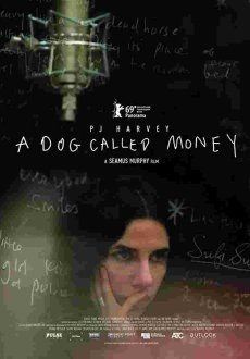 Пи Джей Харви: A Dog Called Money