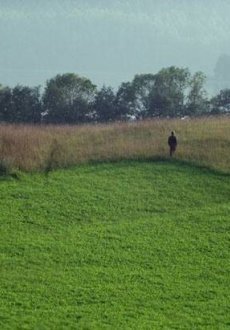 Белые ночи почтальона Алексея Тряпицына