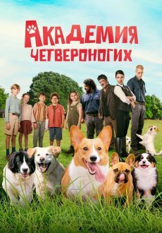 Академия четвероногих