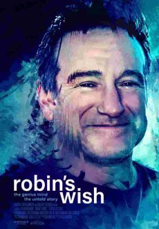 Воля Робина