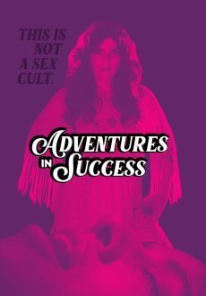 Приключения на пути к успеху