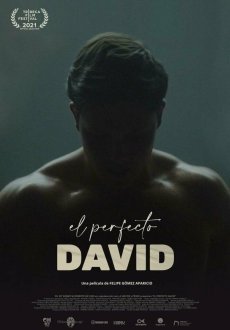 Идеальный Давид