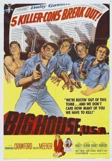 Большой дом