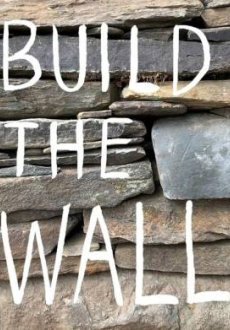 Построить стену