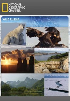 Дикая природа России 1 сезон