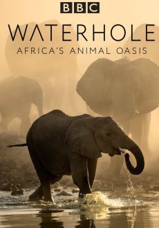 BBC. Водопой: Африканский Оазис для Животных 1 сезон