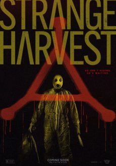 Странный урожай