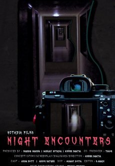 Ночные встречи