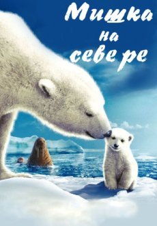 Мишка на Севере