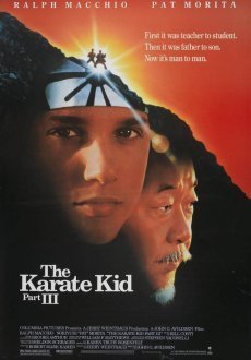 Парень-каратист 3
