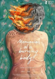 Воспоминания пылающего тела