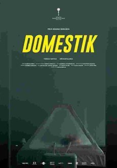 Домашний режим