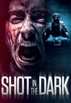 Выстрел в темноте