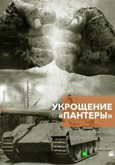 Укрощение «Пантеры» 1 сезон