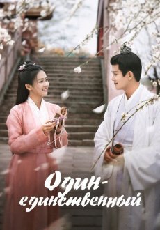 Один-единственный 1 сезон